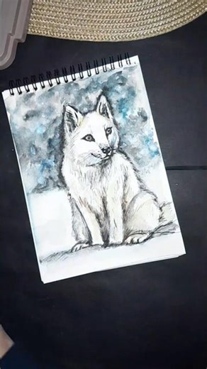 Arctic fox. Sketch 1. #drawing #art
