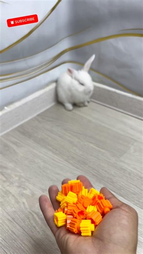 🧱 Watch This Beautiful LEGO Reverse Video! #asmr #bunny #satisfying #bunny