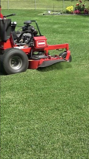 3. How Often Should You Mow in Summer? ☀️ #MowingTips #SummerLawn #GrassTips