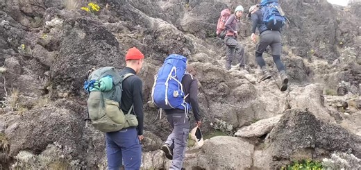 golden bamboo tours on TikTok