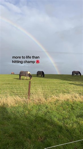 #r6 #fyp | rainbow 6 siege