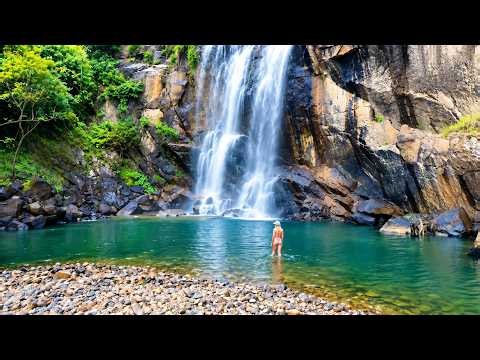 Exploring Australia’s Wildest Rainforest | Solo Adventure in the Daintree #