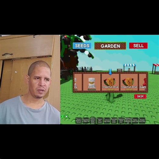 Amber fruit shrub in Grow a Garden