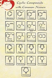 Cyclic Compounds & their Common names | Chemistry Help
