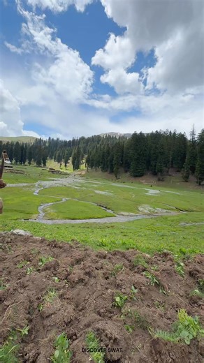 62K views · 2.6K reactions | 85 years old Baba working hard in fields at scenic medows of tap c ban. Mankyal bahren | Discover Swat | Facebook