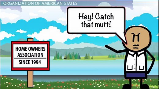 Organization of American States | Purpose, History & Significance