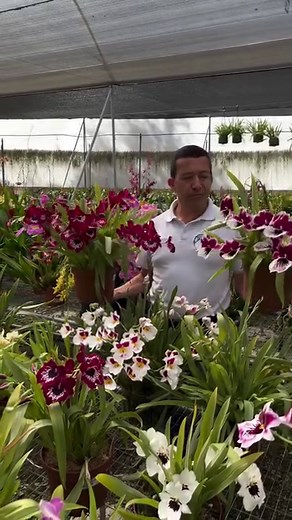 8K views · 685 reactions | Happy to showcases the breathtaking...