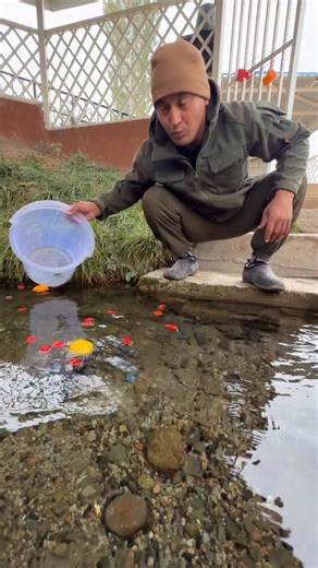 Жакшылык on Instagram: "@aquaman.kg 0️⃣7️⃣0️⃣0️⃣.8️⃣9️⃣8️⃣.9️⃣2️⃣9️⃣ 0️⃣2️⃣2️⃣2️⃣.2️⃣2️⃣3️⃣.3️⃣8️⃣8️⃣ Aquaman - сертификатталган сууну тазалоо системасы Үйүңүзгө жана ден соолугуңузга кам көрүңүз"