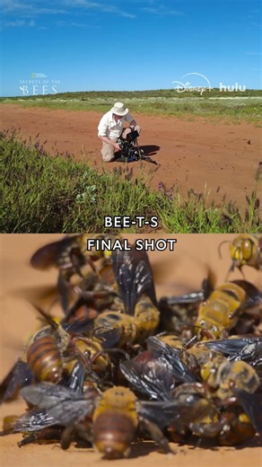 Bee-hind the scenes on #SecretsOfTheBees 🎥