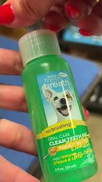 How to Brush your DOGS TEETH ￼