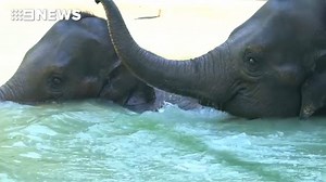 9.2K views · 222 reactions | It’s been the hottest week in months and...