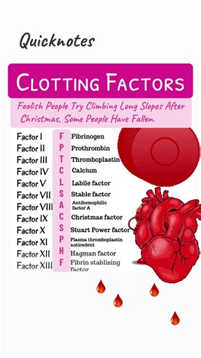 Understanding Blood Clotting Factors in Nursing
