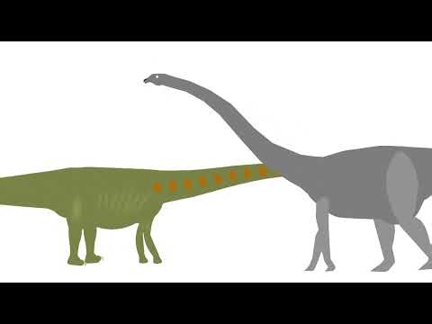 SNDBC episode 39: diplodocus vs apatosaurus