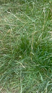 You might just find Britain's largest gorge like @devon_is_heaven_media 🌄 | Cheddar Gorge & Caves