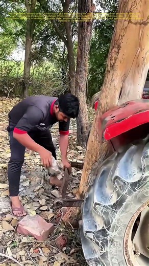Tugging Trees with Tractors: How Modern Machinery Meets Old-School Labor