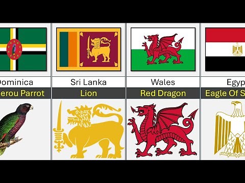 List Of Country Flags That Feature Animals on Them
