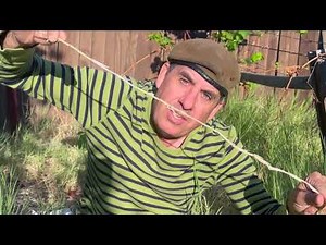 How to Get Rid of Bermuda Grass in Garden