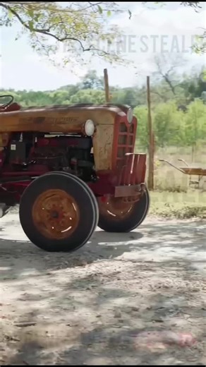 In Love With a Single Farmer Daddy