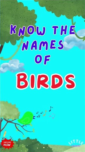 Learn Birds Names | Educational Video for Kids #kids #shorts #viral #learning #phonics