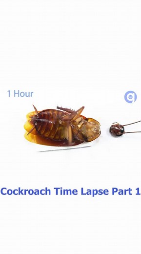 #GhostPhotoshoot #whatspoppin #boostyourmood #foryoupage #fyp #foryou #scienceathome #scienceiscool #whyamilikethis