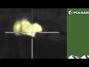 Heat seeking air rifle pest control - squirrel, fox and rat