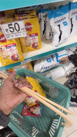 Pet Safety Tag That Helps Contact Owner | QR & NFC Safety Tag For Dog And Cat