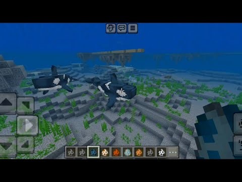 Warm Ocean Animals Addon in Minecraft PE