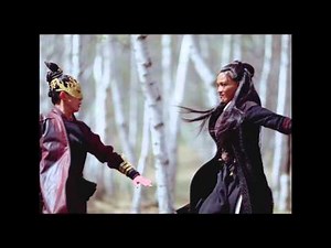THE ASSASSIN - Fight In The Woods - Film Clip