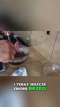 Got 5 minutes? Make this COCOA CAKE! 🍫 Cheap and quick! #shorts