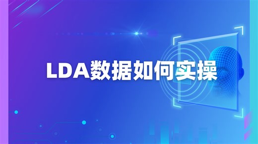 2.4 LDA数据如何实操