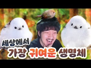 *갱신* 세상에서 제일 귀여운 생명체 *너무귀엽다*