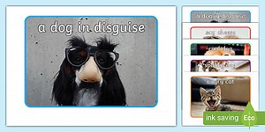 Silly Animal Poster Pictures