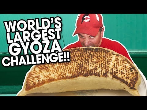 World's Largest Japanese Gyoza Dumpling Challenge in Tokyo, Japan!!