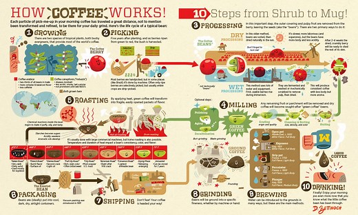 From crop to cup: How coffee travels through its supply chain