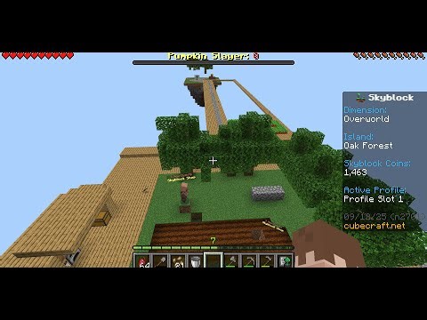 2 hour Minecraft Sky-blocks long plays with Solo No commentary