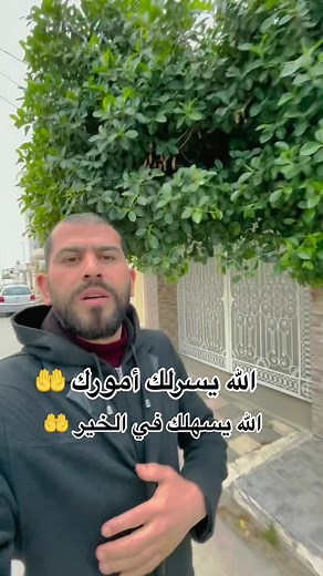 Exploring Suburban Life: A Day in the Neighborhood