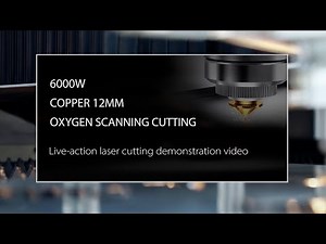 Bodor Laser-6000W oxygen scanning cutting 12mm copper