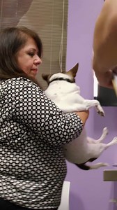 This dog’s story is truly heartwarming 🥹❤️ #TheVetLife | Love Animals