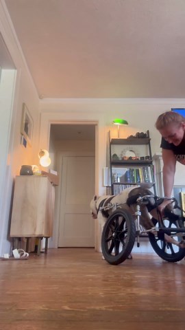 Pigeon on Instagram: "Wild girl rodeo!"