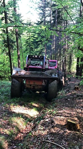 Two Old-School Forestry Skidders Hauling Logs Through Deep Woods #Forestry #Logging #Skidder #Timber