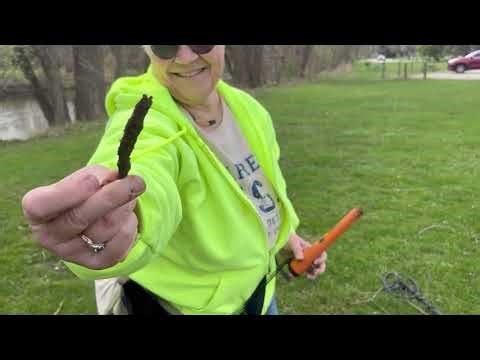 Metal detecting in a nearby park instead of my backyard