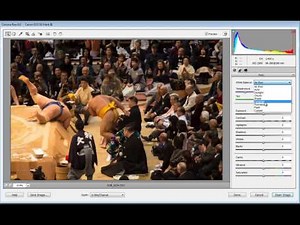 Photoshop Elements: Processing RAW files