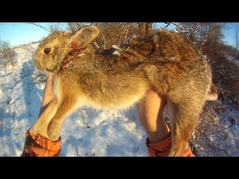 Small Game Hunting #6: 1 Cottontail Rabbit by .22 Rifle