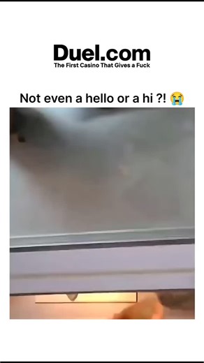 The sarcasm world on Instagram: "“Hii” and “Hello” might look like two simple greetings, but the vibe they carry is totally different, and the choice between them says more about your mood than you think. “Hello” is the classic—clean, calm, polite, the kind of greeting you’d use for someone you respect, someone new, or in a situation where you want to sound a little put-together. It has a neat, almost formal energy to it, like you’re opening the door with a small smile and good posture. “Hii,” o