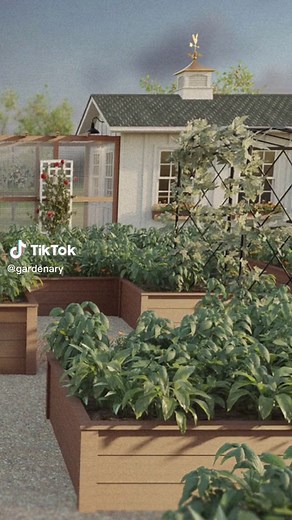 Stunning Kitchen Garden Designs for Your Home