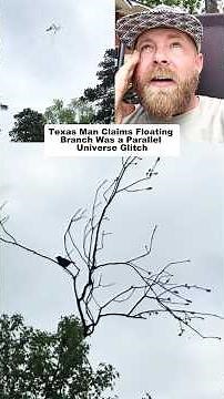 Texas Man Claims Glitch in the Matrix After Finding Floating Tree Branch in the Sky 😳