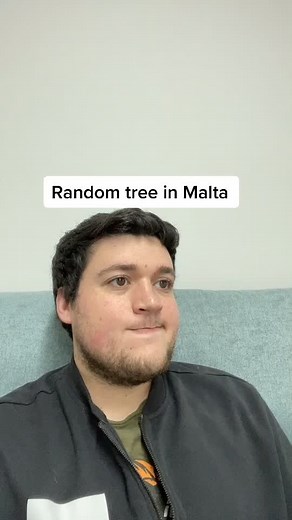 Exploring Random Trees in Malta: A Unique Perspective