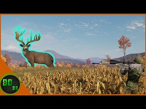 Hunting Cornfields for Whitetail in The New England Mountains! Call Of The Wild
