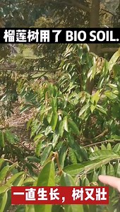 3.1K reactions · 648 shares | 叶子一直出来是要吓人是吗？ Bio Soil...