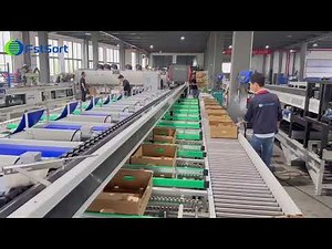 Tomato color sorter,tomato optical sorter,vegetable washing grading machine,tomato optical grader